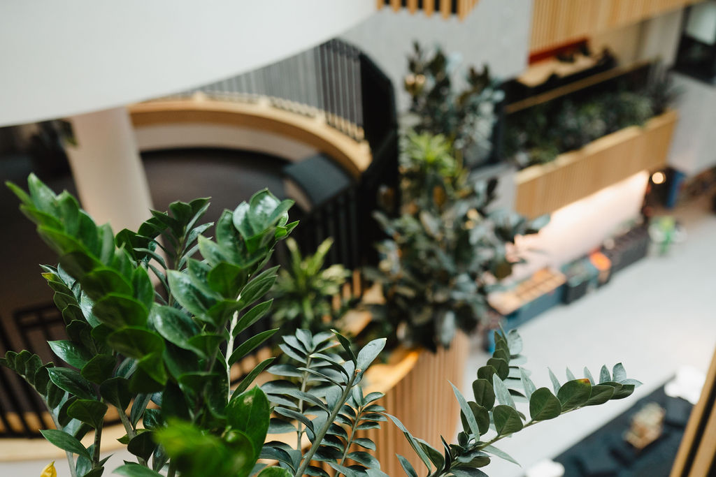 Green plants in the foreground of a university hall 